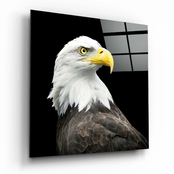 Eagle - Glass wall art