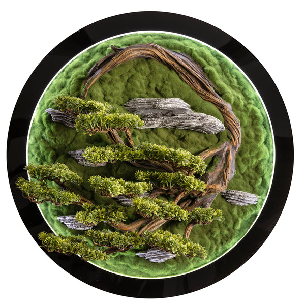 Roundel of Green 3D Wall Art Bonsai Tree