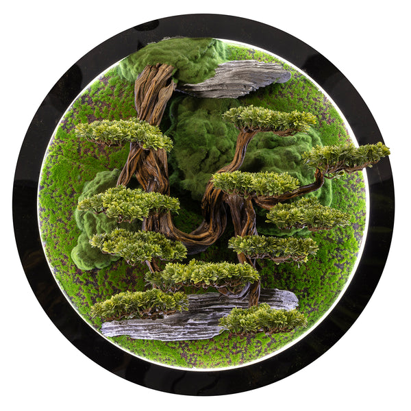 Verdure in Round 3D Wall Art Bonsai Tree