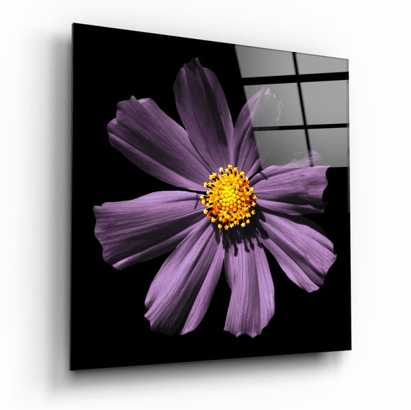 زهور ملونة - لوحة فنية جدارية مطبوعة على الزجاج