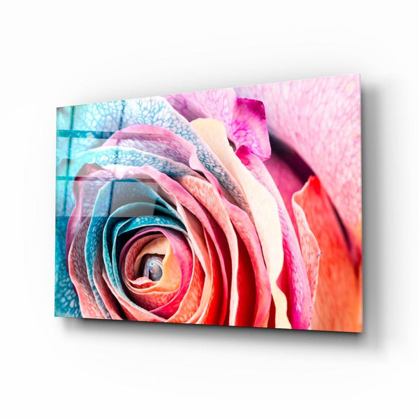 Colored Rose, Glass printing wall art