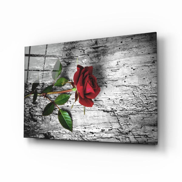 Red rose | Glass printing wall art