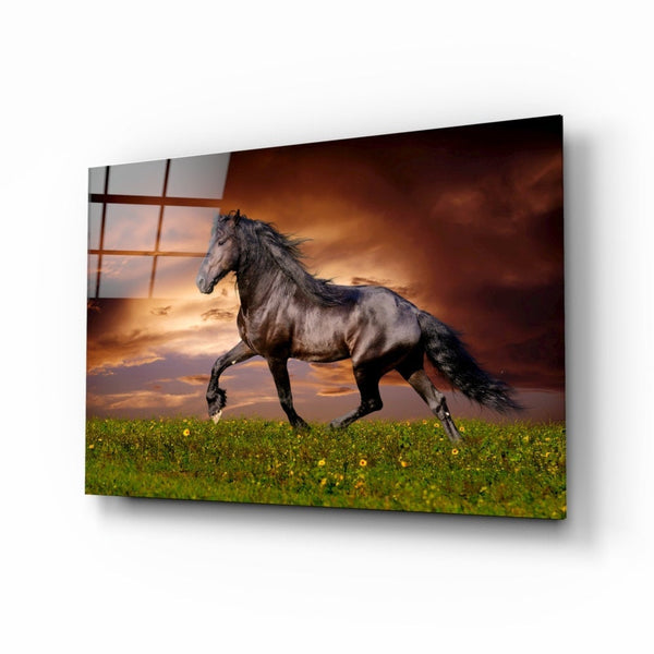 Nobility of the Horse | Glass wall art