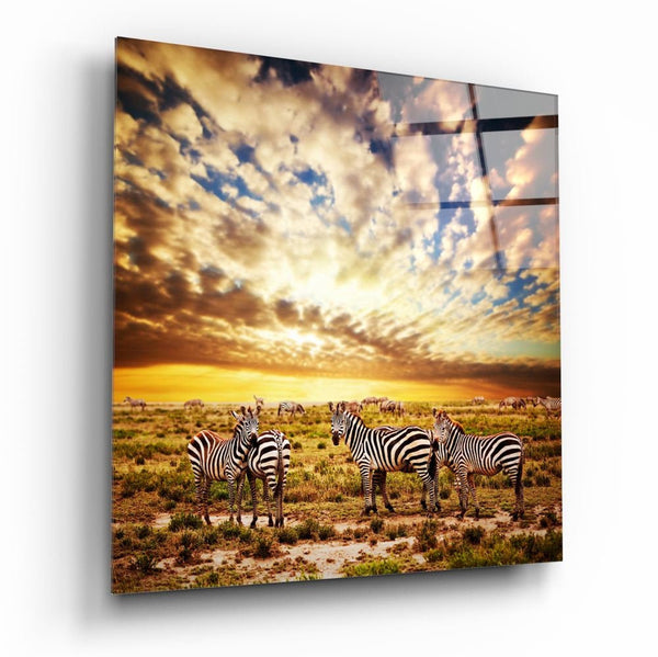 Zebras | Glass Printing wall art