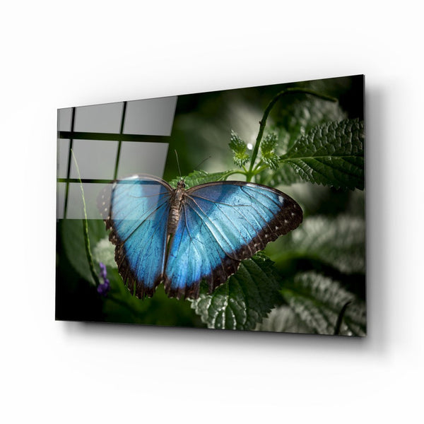 Butterfly | Glass modern wall art